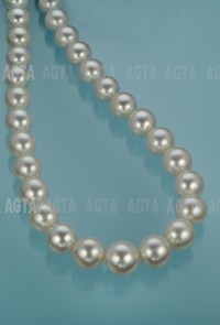cultpearljwly010