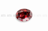 garnet010