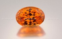 garnetmandarinov01