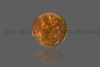 opal039