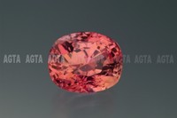 sapphirepadparadscha001