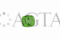 garnettsavorite003