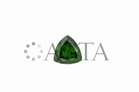 garnettsavorite004