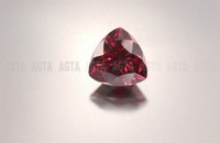 garnet001