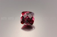 garnet005