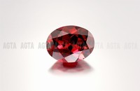 garnet009