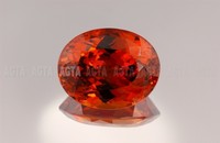 garnet011