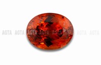 garnet012