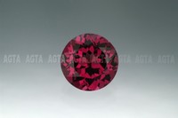 garnet017