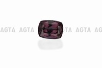 garnet025