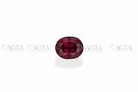 garnet027