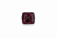 garnet029