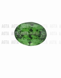 garnettsavorite001