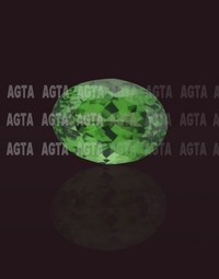 garnettsavorite002
