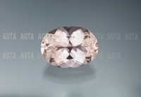 morganite004