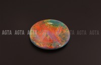 opal001