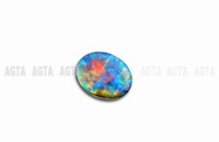 opal006