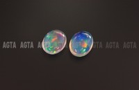 opal008