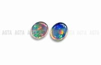 opal009