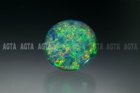 opal017