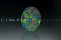 opal019