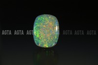 opal020