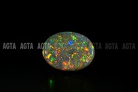 opal021