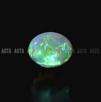 opal027