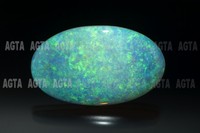 opal029