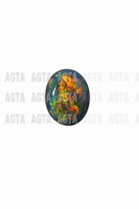 opal031