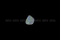 opal035