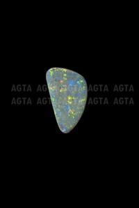 opal037