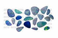 opal038