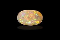 opal040