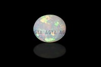 opal041