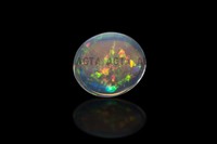 opal042