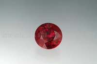 ruby007