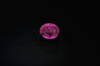 sapphirepink009
