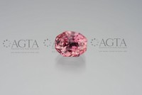 sapphirepadparadscha003