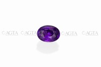 sapphirepurple006
