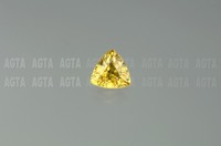 sapphireyellow005