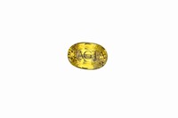 sapphireyellow010