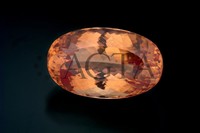 topaz019