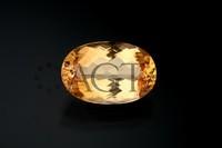 topaz021