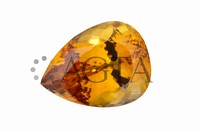 topaz024