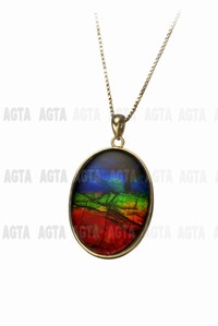 ammolite001